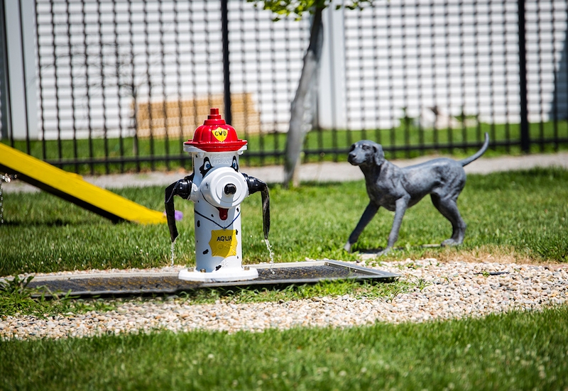 Collinsville's Mutts on Main Dog Park lies not far from the Madison County Transit Schoolhouse Trail | Courtesy City of Collinsville.jpg