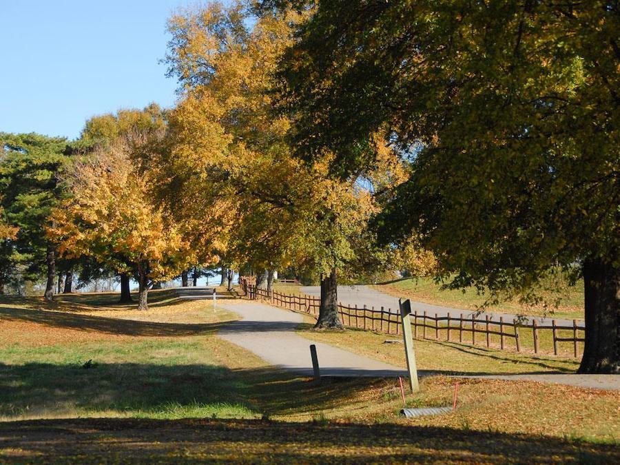 Tennessee's Stones River Greenway | Photo by TrailLink user carolleahamlett