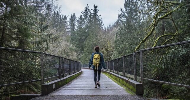 Tokul Trestle on the Snoqualmie Valley Trail | Photo by Eli Brownell, courtesy King County Parks