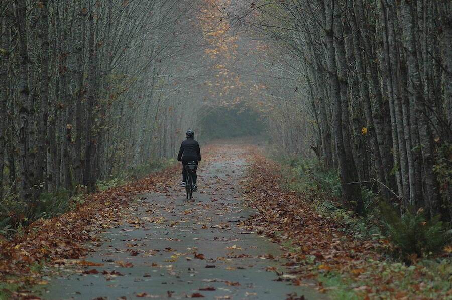 Washington's Chehalis Western Trail | Photo by TrailLink user roycben