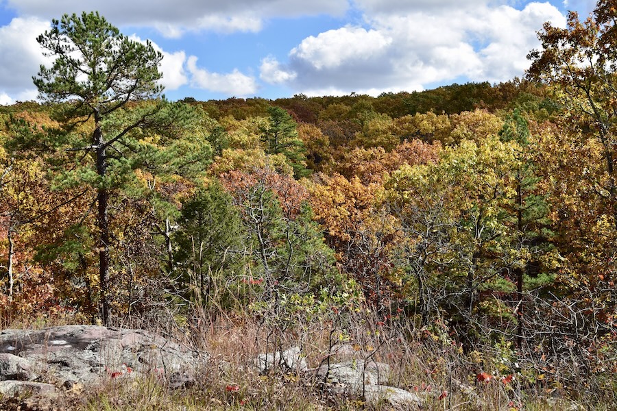 View from the Mina Sauk Falls Trail | Photo by sheffieldb | CC BY 2.0
