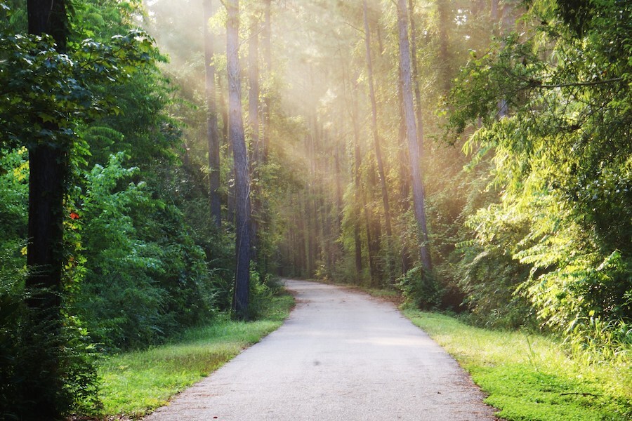 Nestled among piney woods and moss-draped oaks, attractions along the 27-mile Tammany Trace include Lake Pontchartrain, Fontainebleau State Park and Big Branch Marsh National Wildlife Refuge. Photo by Mark Orfila.