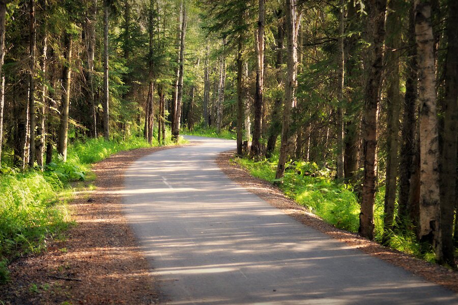 Alaska’s Tony Knowles Coastal Trail offers breataking views of the Chugach Mountains and tidal inlets. Moose are common along this 11-mile wooded escape, yet the paved pathway also rolls right into downtown Anchorage. Photo courtesy Luv Duck Photography.