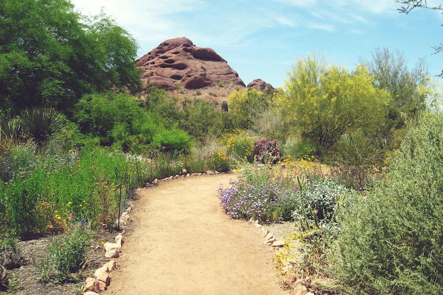 Arizona’s 6-mile Peavine Trail begins just south of Watson Lake by the lush Watson Woods Riparian Preserve. From there, the trail winds towards the Granite Dells, massive mounds of weather-beaten rock. Photo by TrailLink user redrock.