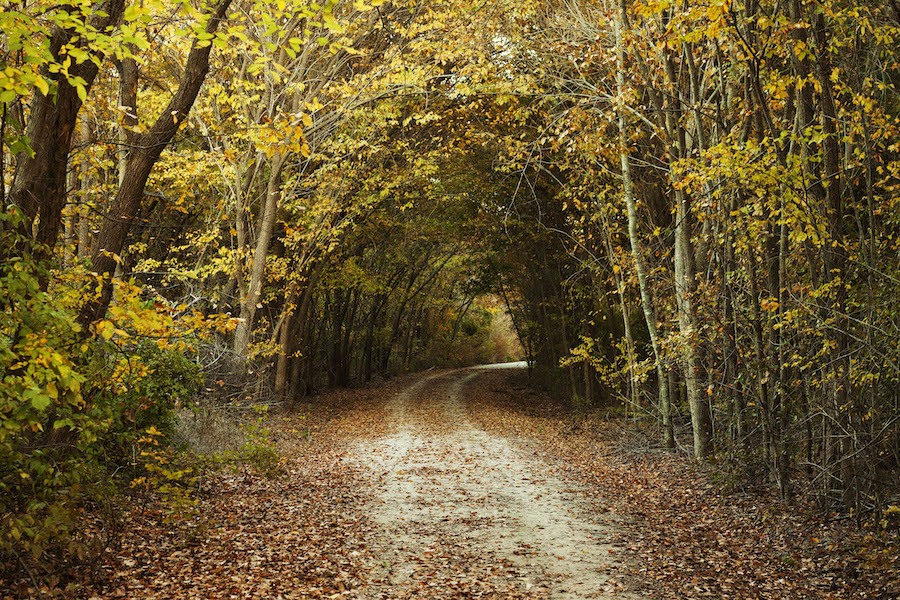 Texas’ Lake Mineral Wells State Trailway offers a relaxing outdoor escape just west of Fort Worth. The 20-mile pathway crosses gently rolling hills, small creeks and remote farm fields and ranch lands. Photo by Conner Pulliam.
