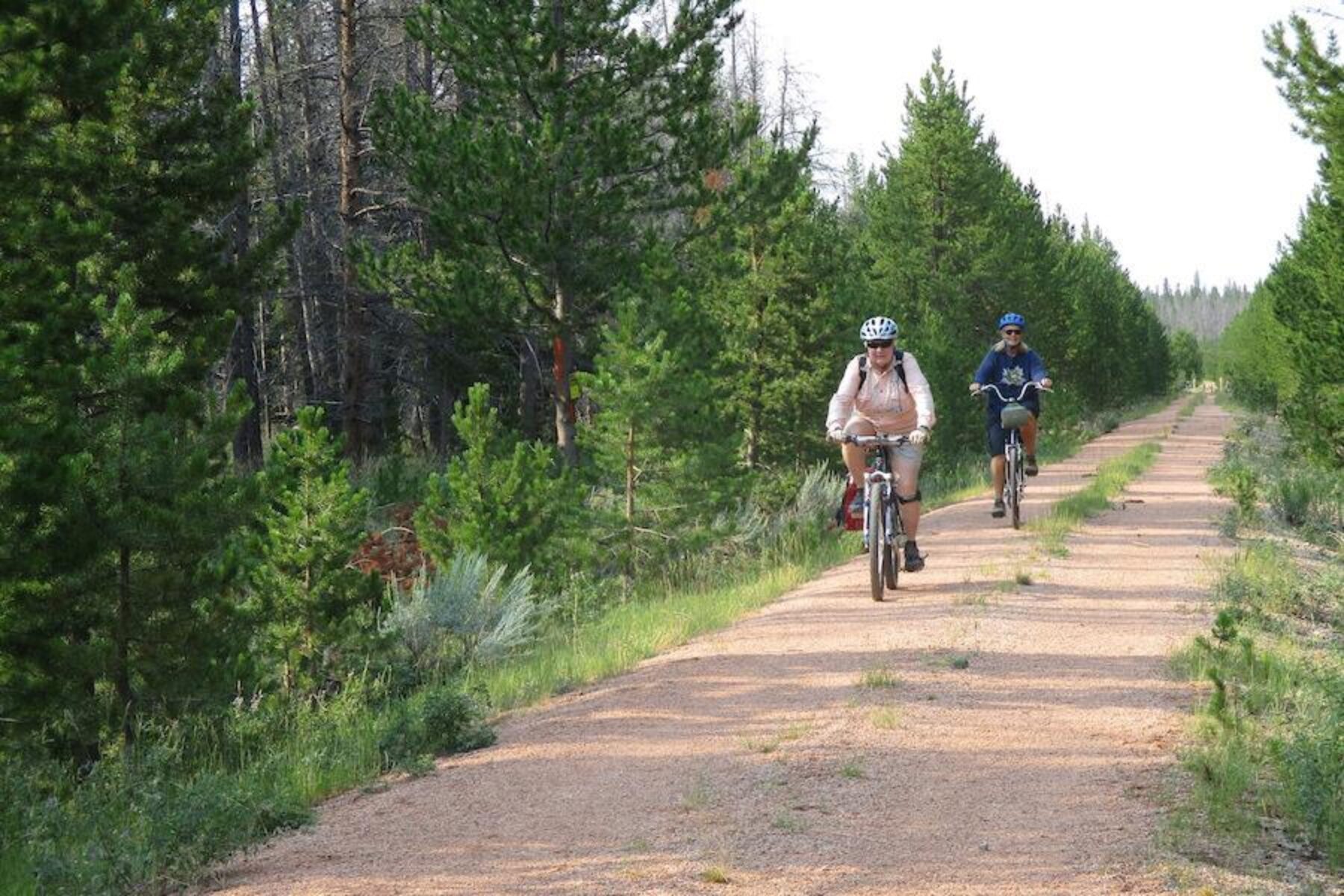 Wyoming’s Medicine Bow Rail Trail passes through large stands of lodgepole, spruce, fir and aspen; traverses meadows of grass and sagebrush; crosses numerous streams; and skirts dozens of swamps, bogs, ponds and lakes. Photo by Amber Travsky.