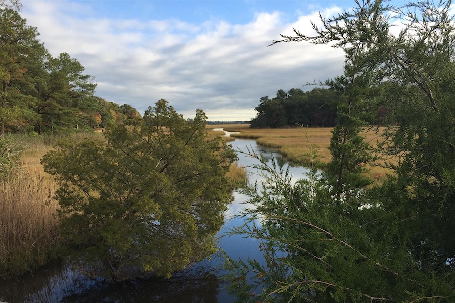Beginning near Delaware’s coastline and Cape Henlopen State Park, the Junction & Breakwater Trail spans just over 6 miles with a backdrop of wetlands, farmland and wooded landscapes. Photo by TrailLink user srbruiser.