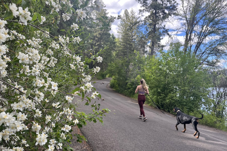 The Deep Creek Canyon section of the Spokane River Centennial State Park Trail offers scenic river views. Photo by Cindy Barks