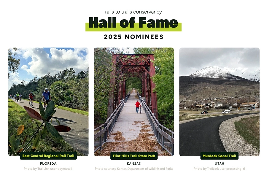 2025 Hall of Fame nominees | Graphic by RTC