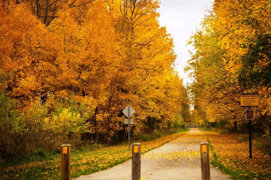 Falling Waters Trail | Photo by B.W. Robinson