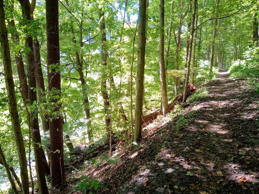 West Virginia's Brooklyn to Southside Junction | Photo by TrailLink user gus76
