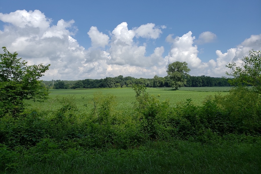 “From Xenia south, the trail is just simply like a magic carpet ride,” said Oberg about the Little Miami Scenic Trail. “Beautiful scenery, including the Little Miami National Scenic River much of the way, and charming towns to boot. The amazing job that Loveland, near Cincinnati, has done bringing its business community in touch with the trail is of particular note. What a great place!” Little Miami Scenic Trail | Photo by Eli Griffen