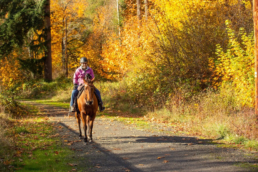 The 23-mile Crown Zellerbach Trail in northwest Oregon features a wooded backdrop as well as 34 kiosks explaining the area’s history, geology and wildlife. | Photo by Dale Latham