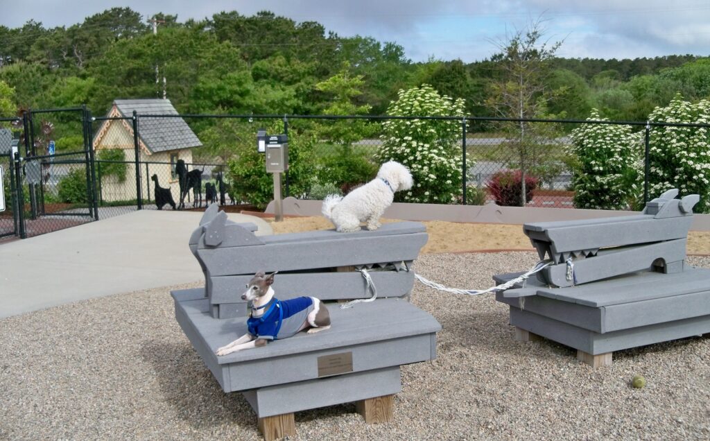 Provincetown's Pilgrim Bark Park near the Old Colony Nature Pathway | Courtesy Provincetown Dog Park Association, Inc.