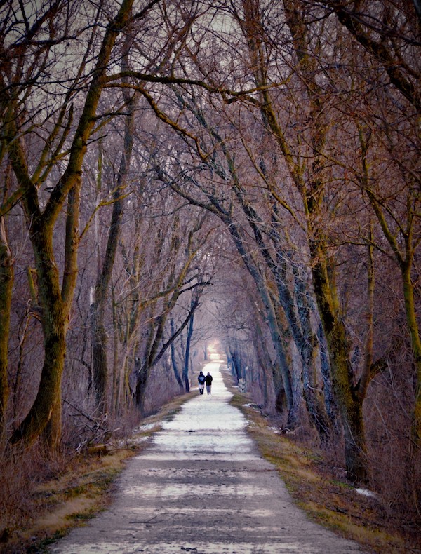 Illinois Prairie Path in Winter | Photo by Theresa E. Cramer
