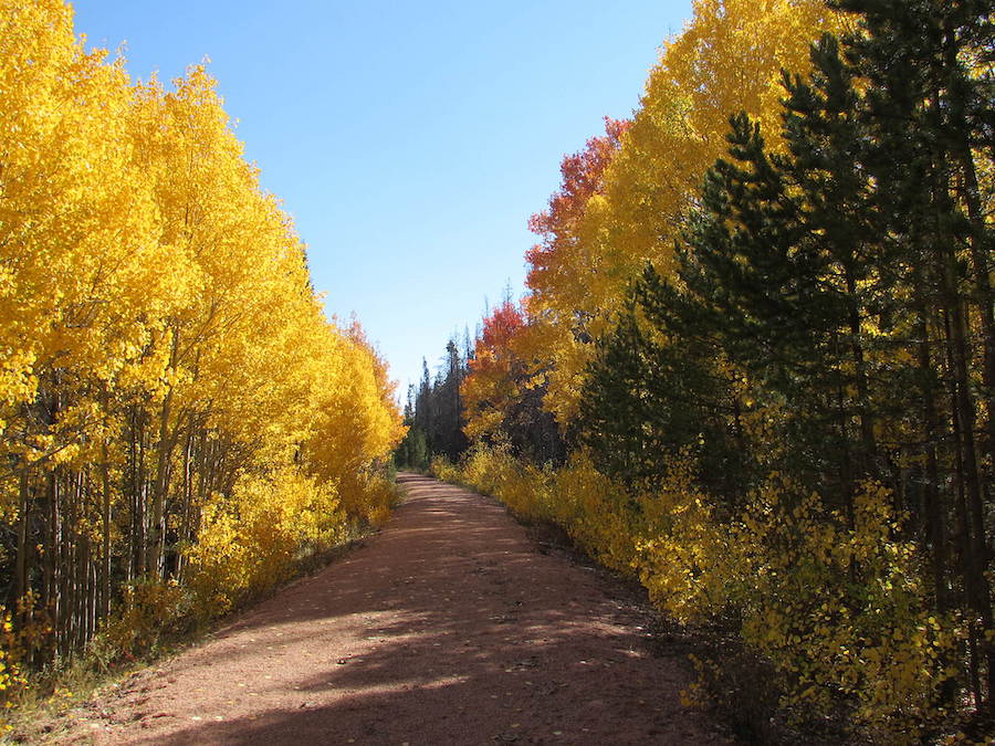 Wyoming's Medicine Bow Rail Trail | Photo by Traillink user atravsky