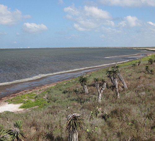 Laguna Atascosa National Wildlife Refuge, Texas