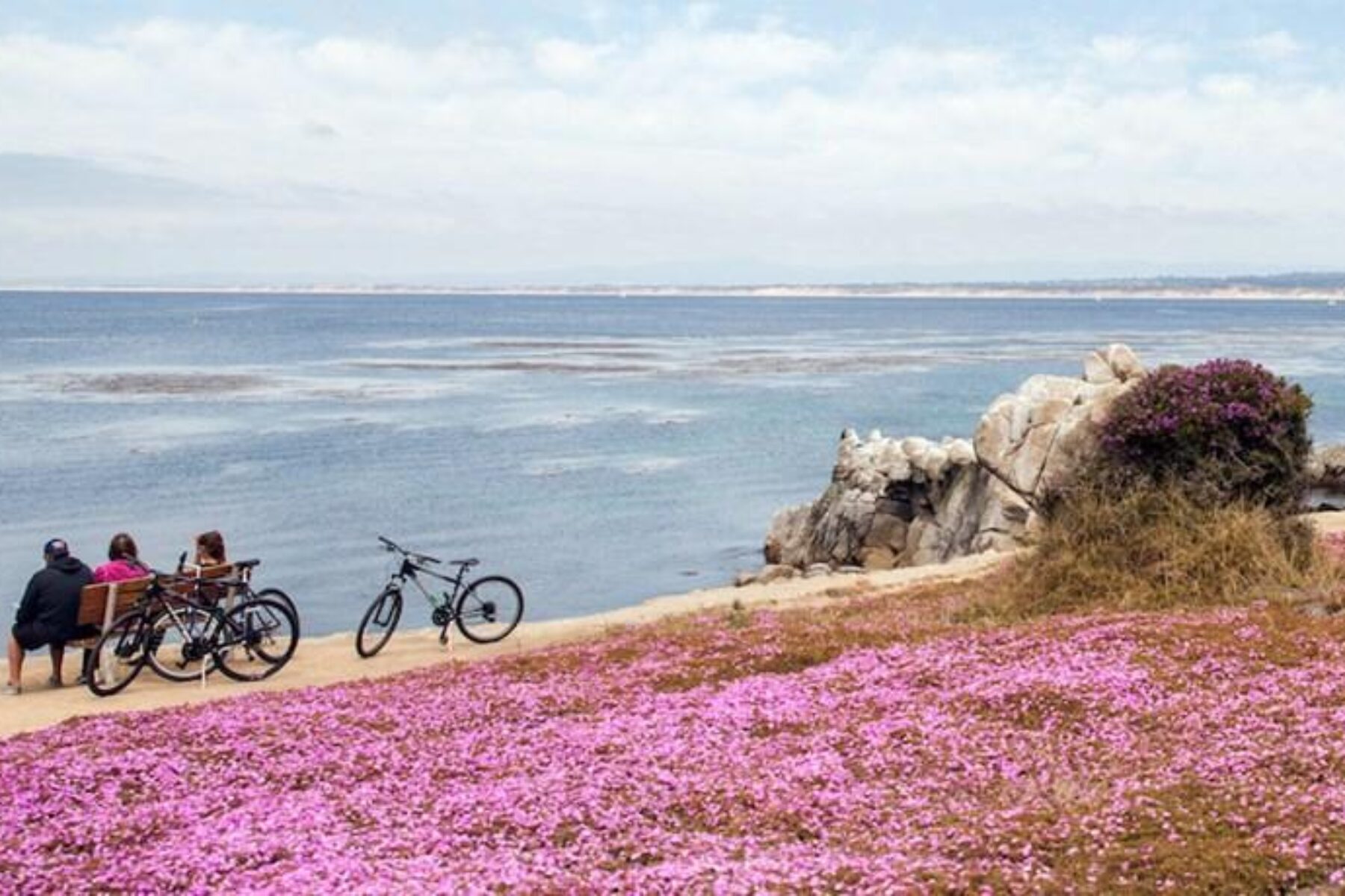 Monterey Bay Coastal Recreation Trail | Photo by Elizabeth Bean Photography