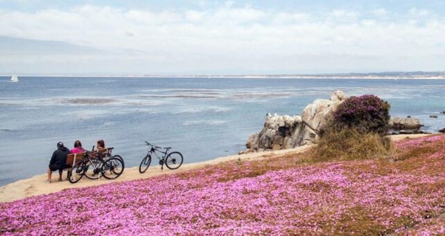Monterey Bay Coastal Recreation Trail | Photo by Elizabeth Bean Photography