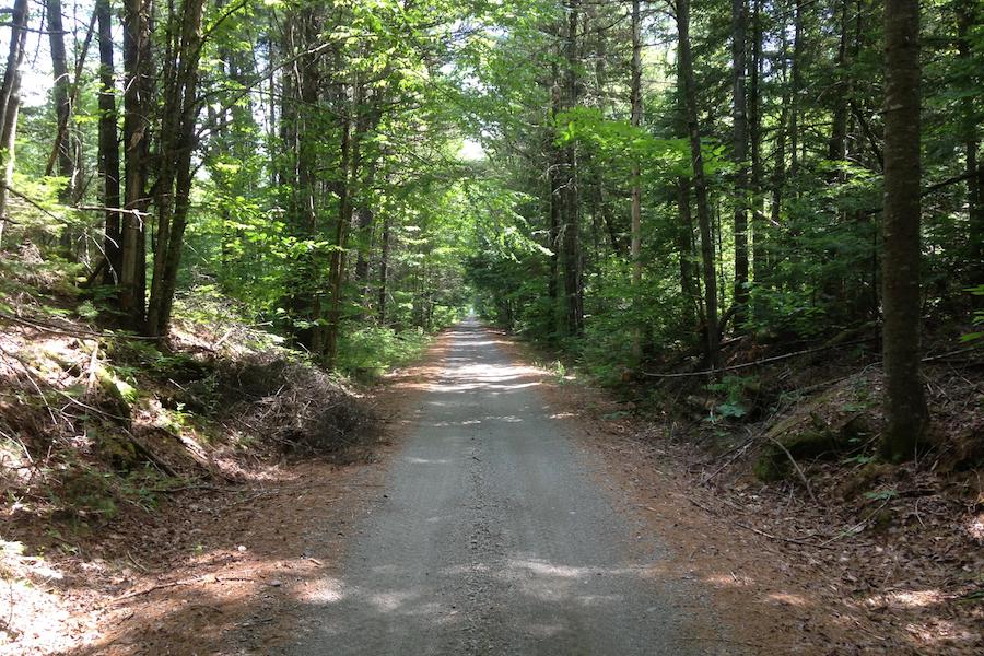 Four Seasons Adventure Trail in Maine | Photo courtesy TrailLink user Brockharmon