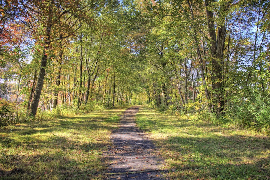 Larkin State Park Trail in Connecticut | Photo by John M. Joy