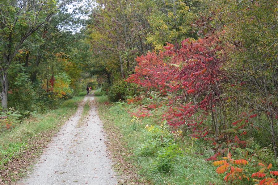 Missisquoi Valley Rail-Trail in Vermont | Photo by Neil A. Gerdes