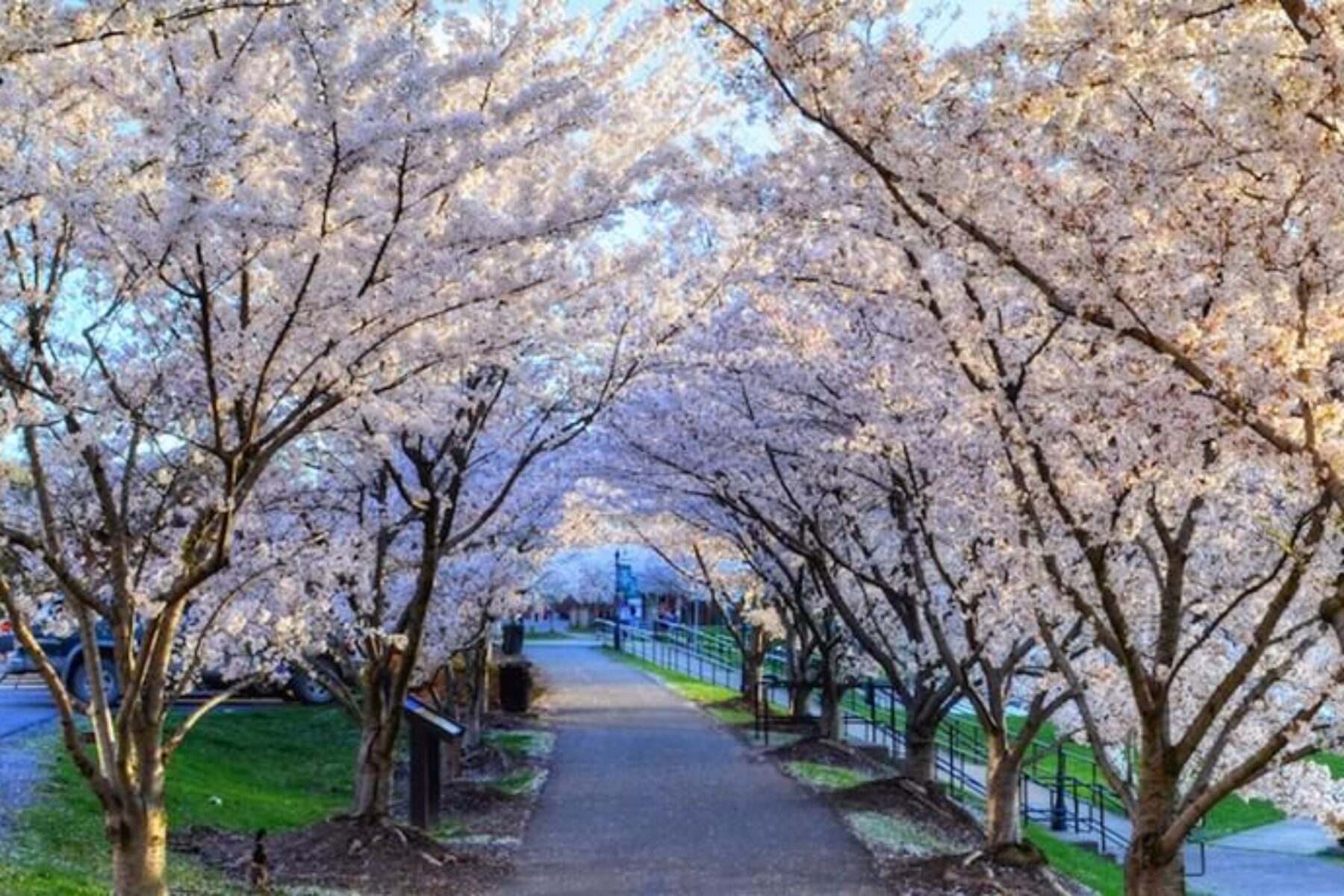 Morgantown's Caperton Trail, part of the Mon River Trail System | Photo by James Riel