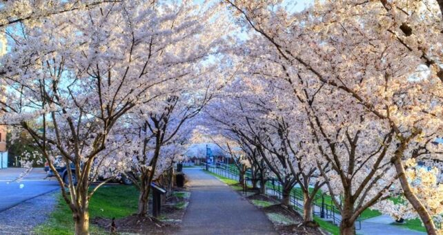 Morgantown's Caperton Trail, part of the Mon River Trail System | Photo by James Riel