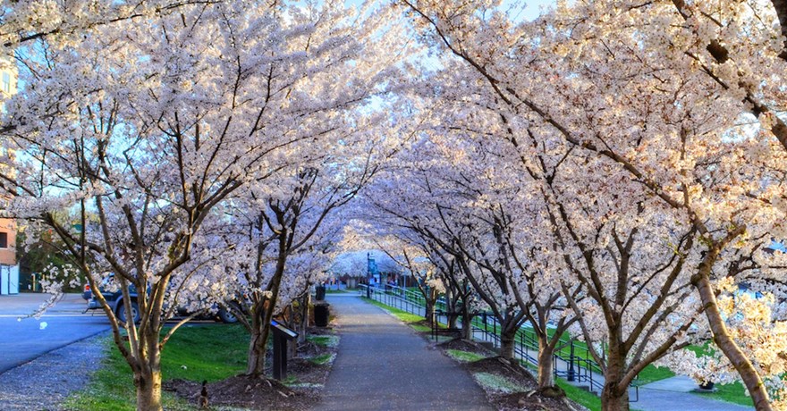 Morgantown's Caperton Trail, part of the Mon River Trail System | Photo by James Riel