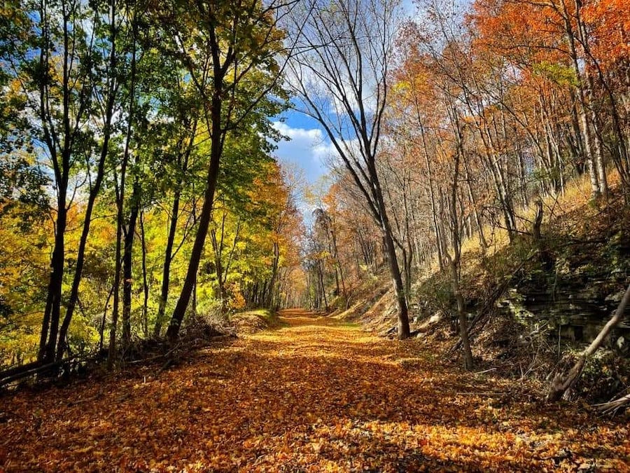 New York's Odessa-Hector Rail-Trail | Photo courtesy the Village of Odessa