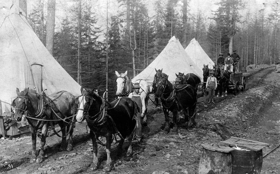 U.S. Spruce Production Division leveling track for the railroad | Photo courtesy Bert Kellogg Collection of the North Olympic Library System