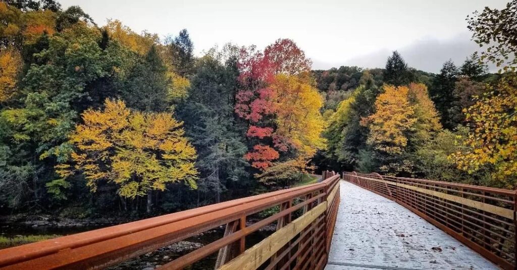 West Virginia's Meadow River Rail Trail | Photo courtesy Greenbrier Environmental Group, Inc