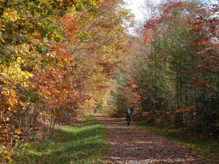 West Virginia's Meadow River Rail Trail | Photo courtesy Greenbrier Environmental Group, Inc