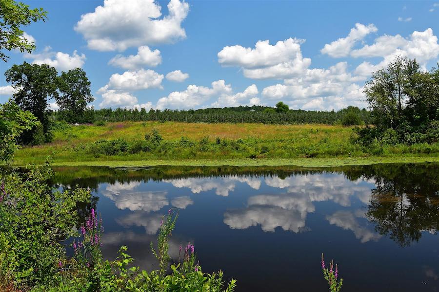 Nashua River Rail Trail | Photo by TrailLink user sc302