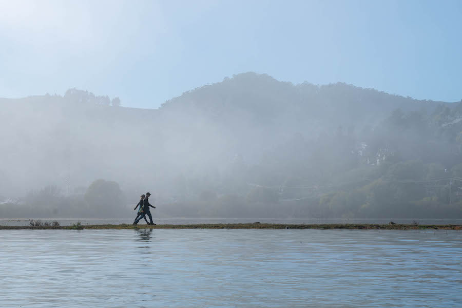 California's Mill Valley-Sausalito Multiuse Pathway at high tide | Photo courtesy of Marin County Parks