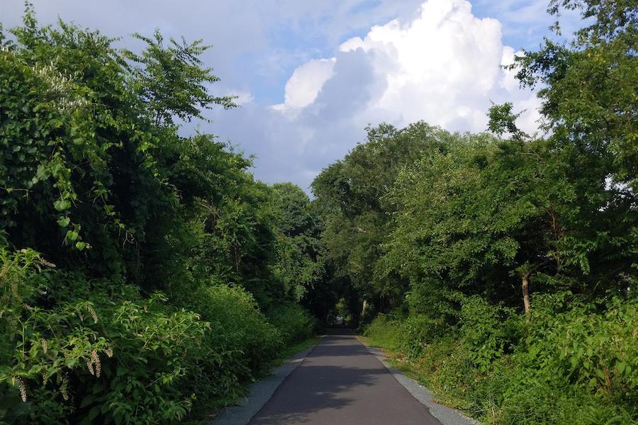 Delaware's Georgetown-Lewes Trail | Photo by TrailLink user James McGinnis