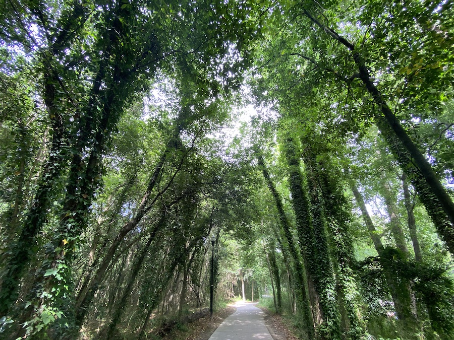 Three Rivers Greenway | Photo by Robert Annis