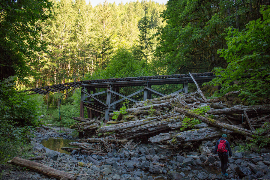 Salmonberry Trail corridor in Oregon | Photo by Connor Charles Photography