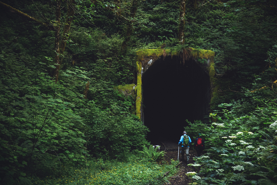 Salmonberry Trail corridor in Oregon | Photo by Connor Charles Photography