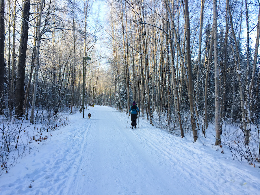 Lanie Fleischer Chester Creek Trail | Courtesy Anchorage Park Foundation