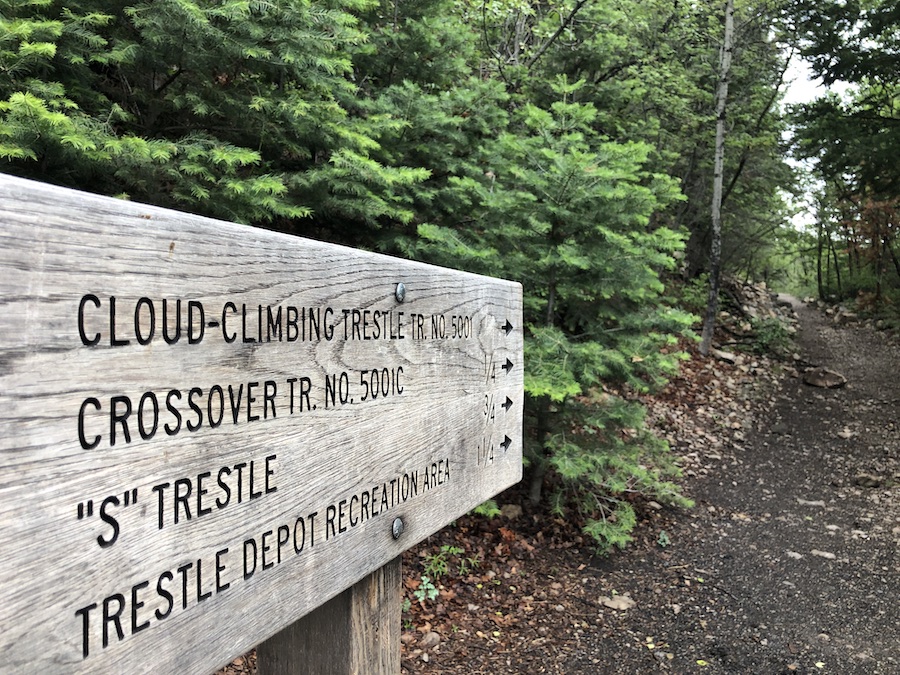 A network of trails takes hikers and horseback riders to the site of the historic Cloud-Climbing Trestle near the high-elevation Village of Cloudcroft. Although the trestle is also visible from above at a Highway 82 overlook, getting to the base requires a 2.6-mile round-trip hike into the steep Mexican Canyon. | Photo by Cindy Barks