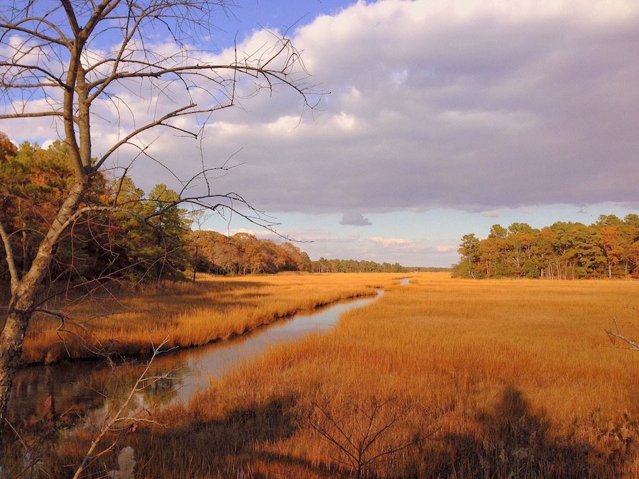 A scenic view from the Junction and Breakwater Trail | Courtesy of Jay Tomlinson