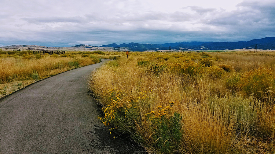 A thriving ecosystem along the Silver Bow Creek Greenway in Montana was made possible by a decades-long environmental cleanup. | Photo courtesy Silver Bow Creek Greenway