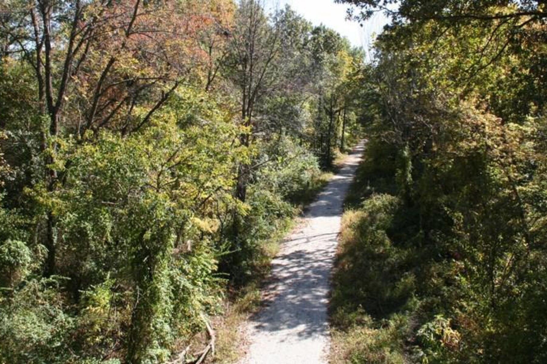 A view from the Katy Trail bridge in Windsor looking down on Rock Island Trail State Park. | Courtesy Missouri Rock Island Trail, Inc.