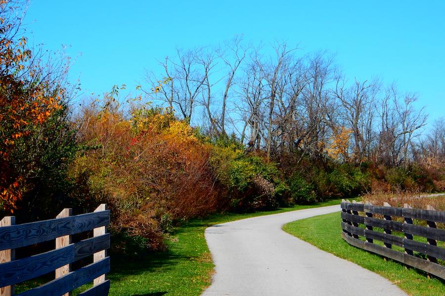 A view from the southern end of the Erie Lackawanna trail near Crown Point. | Photo by Tom Roach