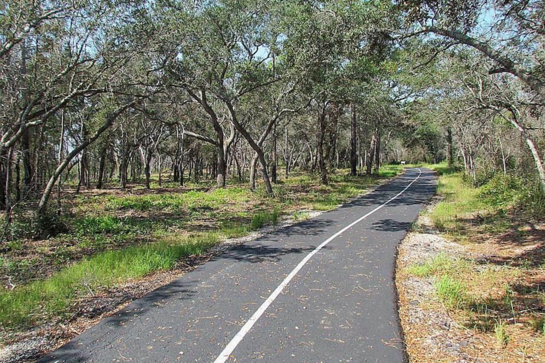 Alabama's Hugh S. Branyon Backcountry Trail:Gulf Oak Ridge Trail | Photo by TrailLink user walt.ebbert