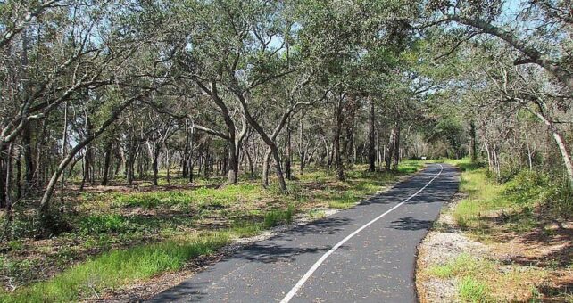 Alabama's Hugh S. Branyon Backcountry Trail:Gulf Oak Ridge Trail | Photo by TrailLink user walt.ebbert