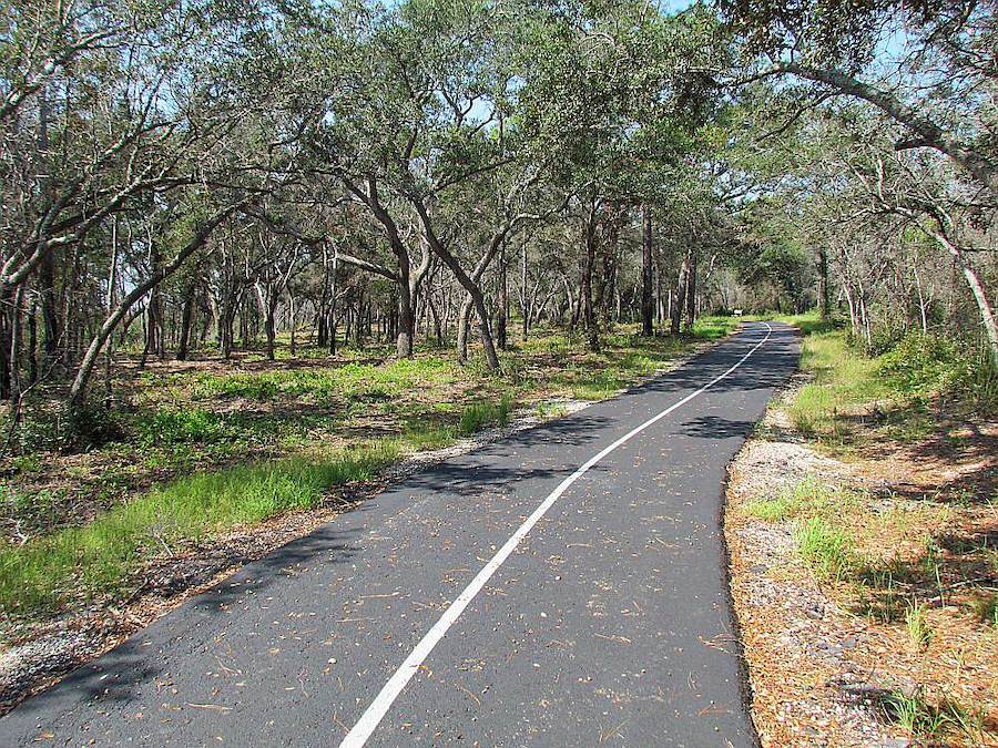 Alabama's Hugh S. Branyon Backcountry Trail:Gulf Oak Ridge Trail | Photo by TrailLink user walt.ebbert