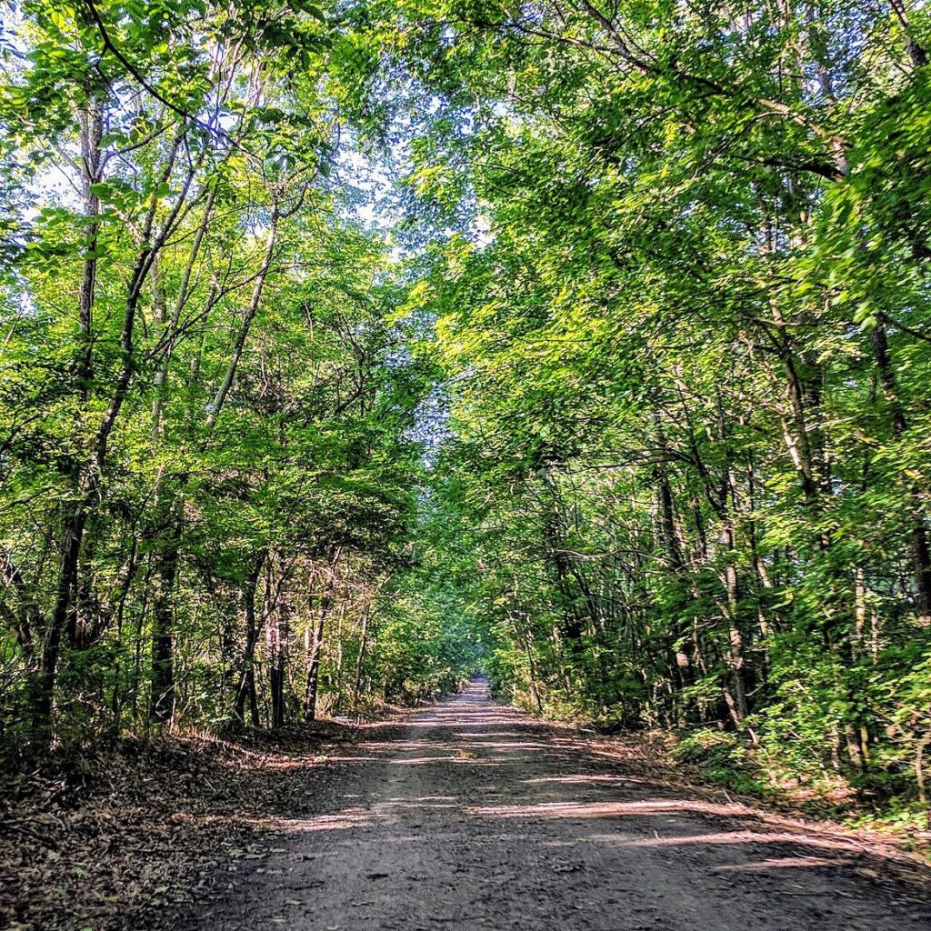 Alabama's Richard Martin Trail | Photo by TrailLink user willmarth2