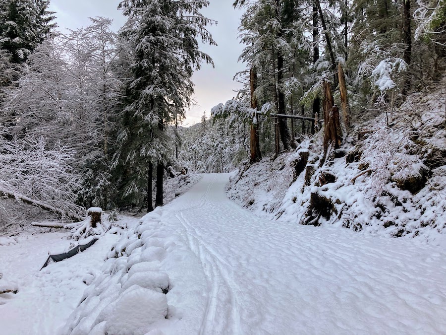 Alaska's Cross Trail | Photo courtesy Sitka Trail Works